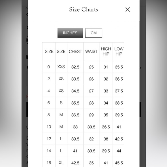 BCBGMAXAZRIA EVENING GOWN - Picture 4 of 5